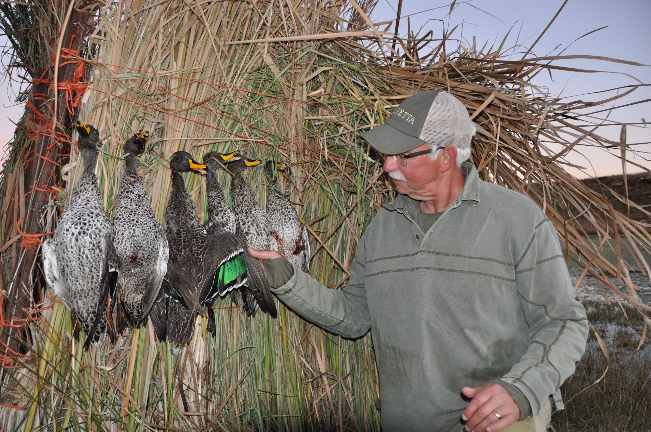 The author examines a yellow-billed duck.