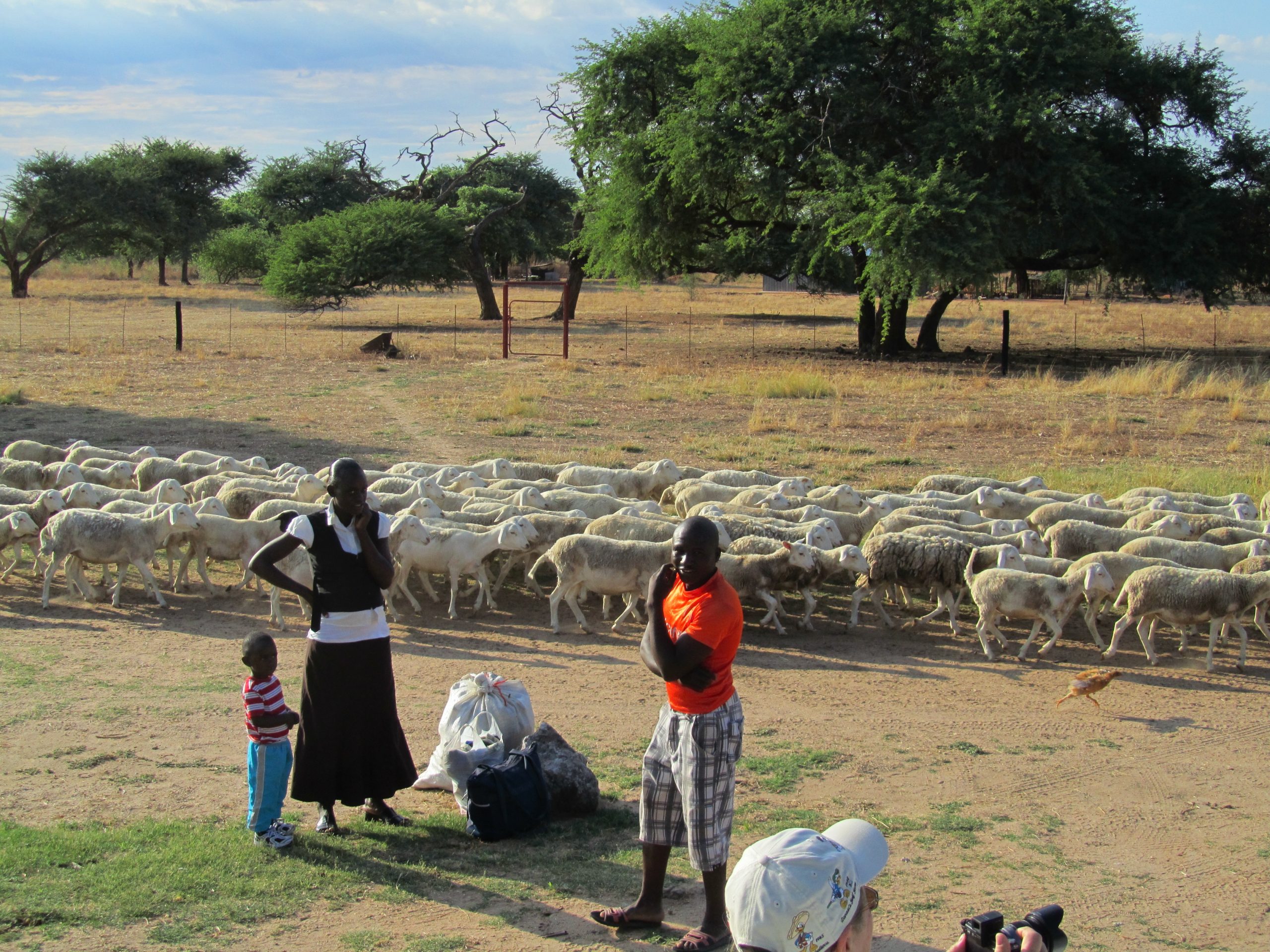 1)	Seven local families work on the game farm and tend livestock on the surrounding Aandster properties.