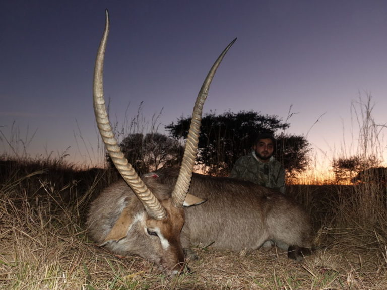 DSC01359 3 1024x768 1 768x576