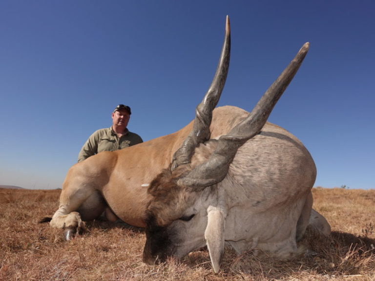 DSC01407 4 1024x768 1 768x576