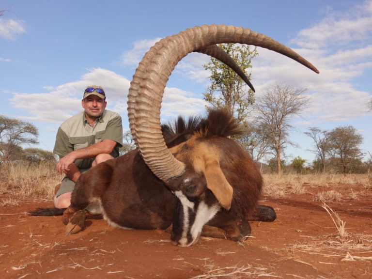 DSC01909 4 1024x768 1 768x576