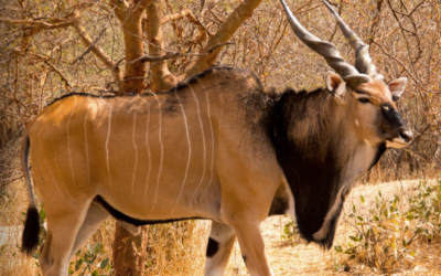 January – March 2018