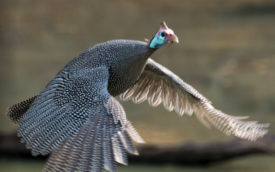 October – December 2018