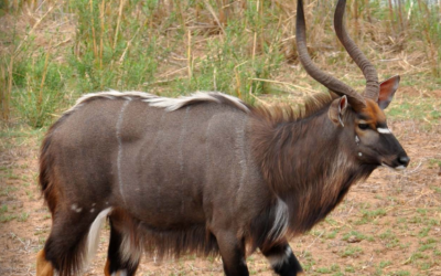 October – December 2014