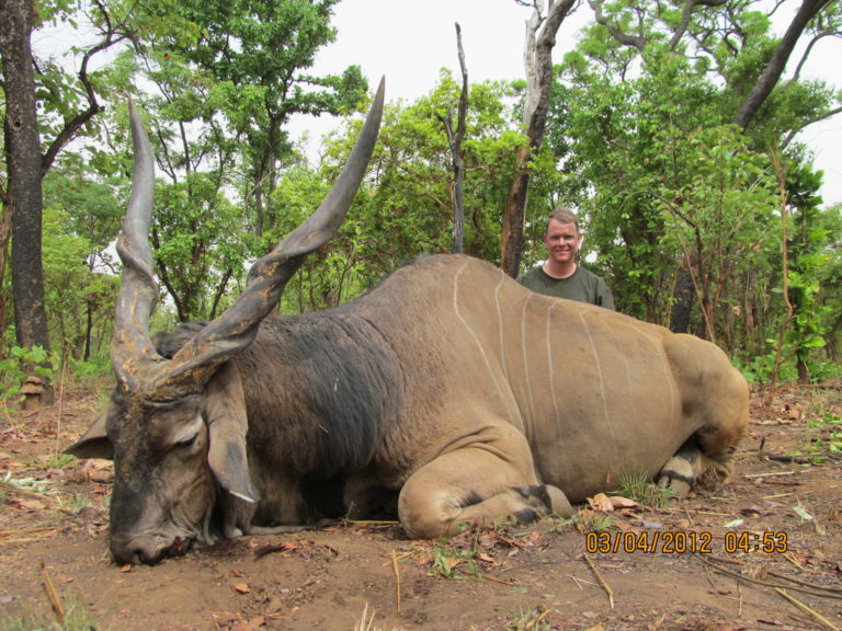Theirry Labab Central African speices 14 scaled 1 1 768x576