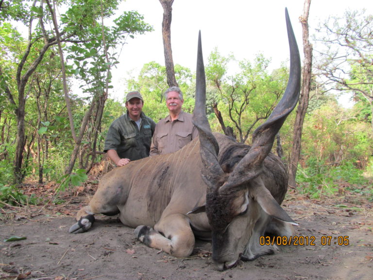 Theirry Labab Central African speices 16 scaled 1 768x576