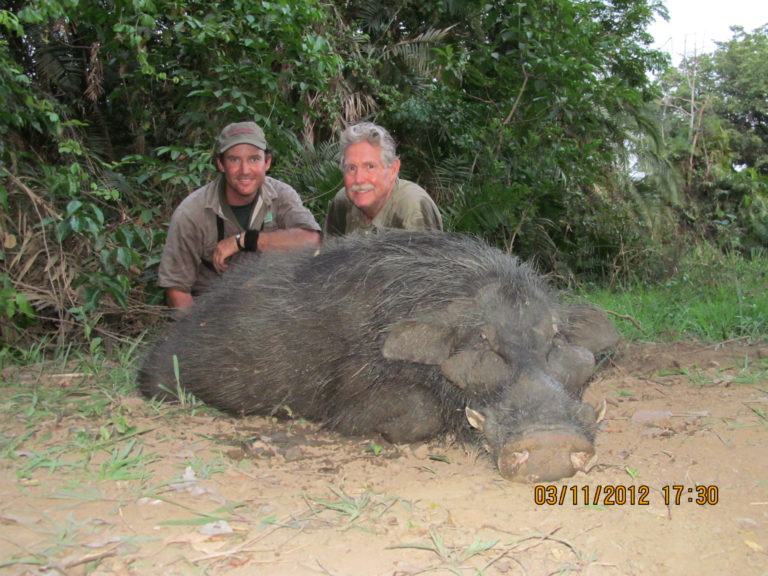 Theirry Labab Central African speices 18 scaled 1 768x576