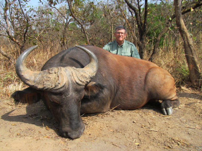 Theirry Labab Central African speices 20 scaled 1 768x576