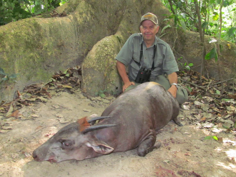Theirry Labab Central African speices 28 scaled 1 1 768x576