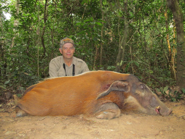 Theirry Labab Central African speices 29 scaled 1 1 768x576