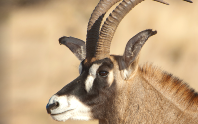 July – September 2014