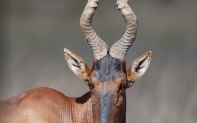 January – March 2015