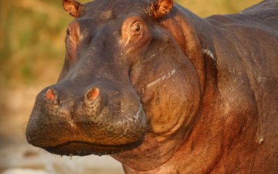 January – March 2016