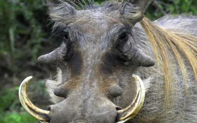 July – September 2015