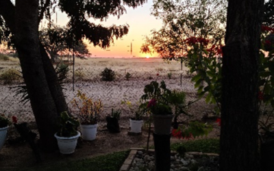 Return to Namibia’s Otjozondjupa District