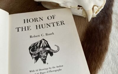 Book review – Horn of the Hunter
