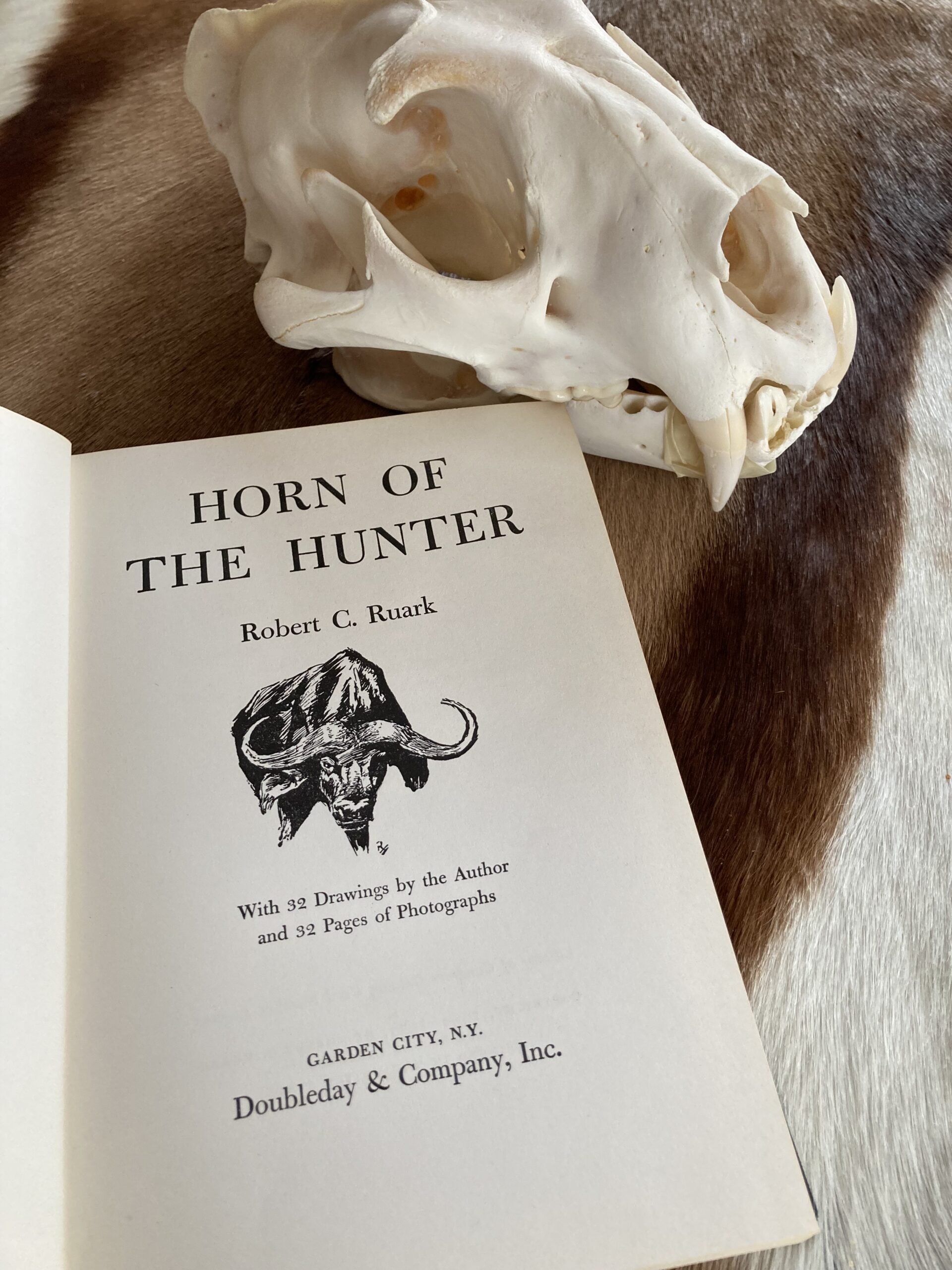 Book review – Horn of the Hunter