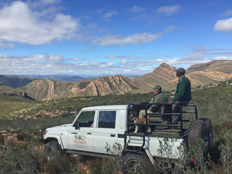 Madubula Safaris 9 768x576