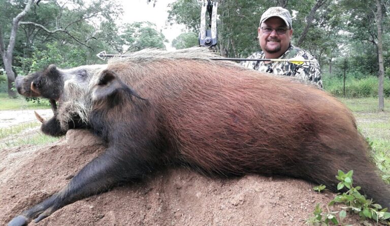 Strang Middleton 1 768x446