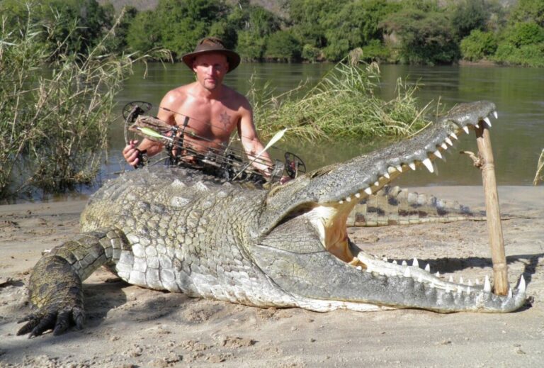 Strang Middleton 2 768x519