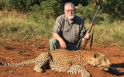 Fourth leopard at 80