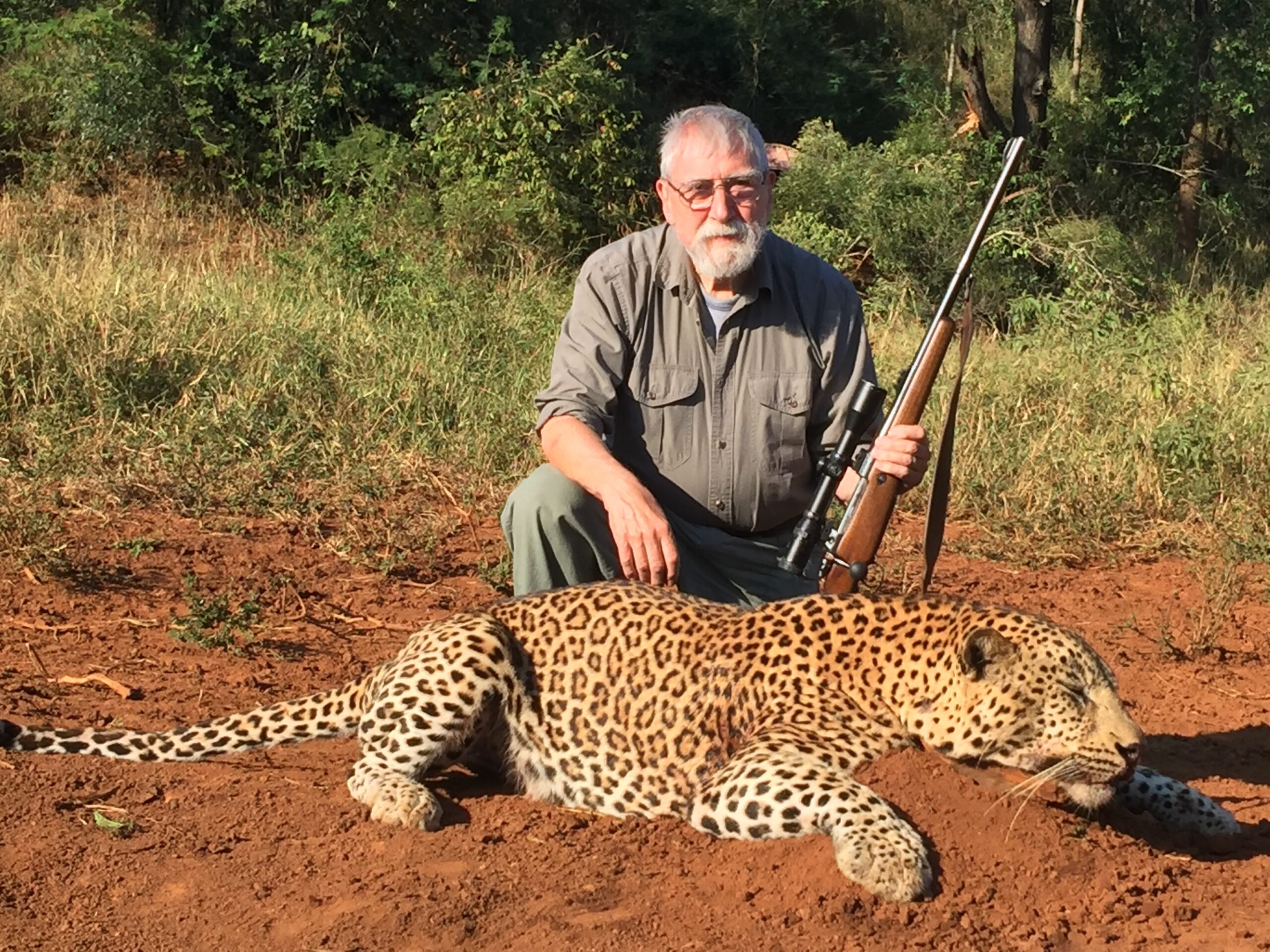 Fourth leopard at 80