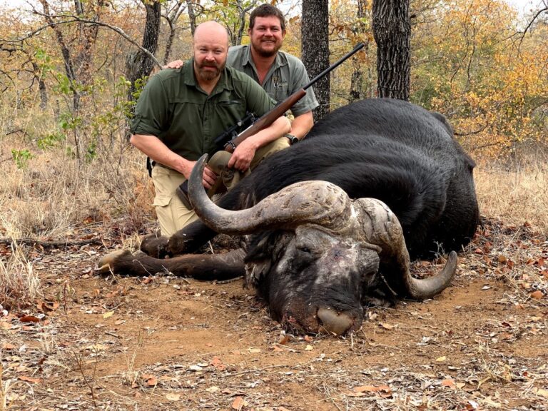 mike keller buffalo 768x576