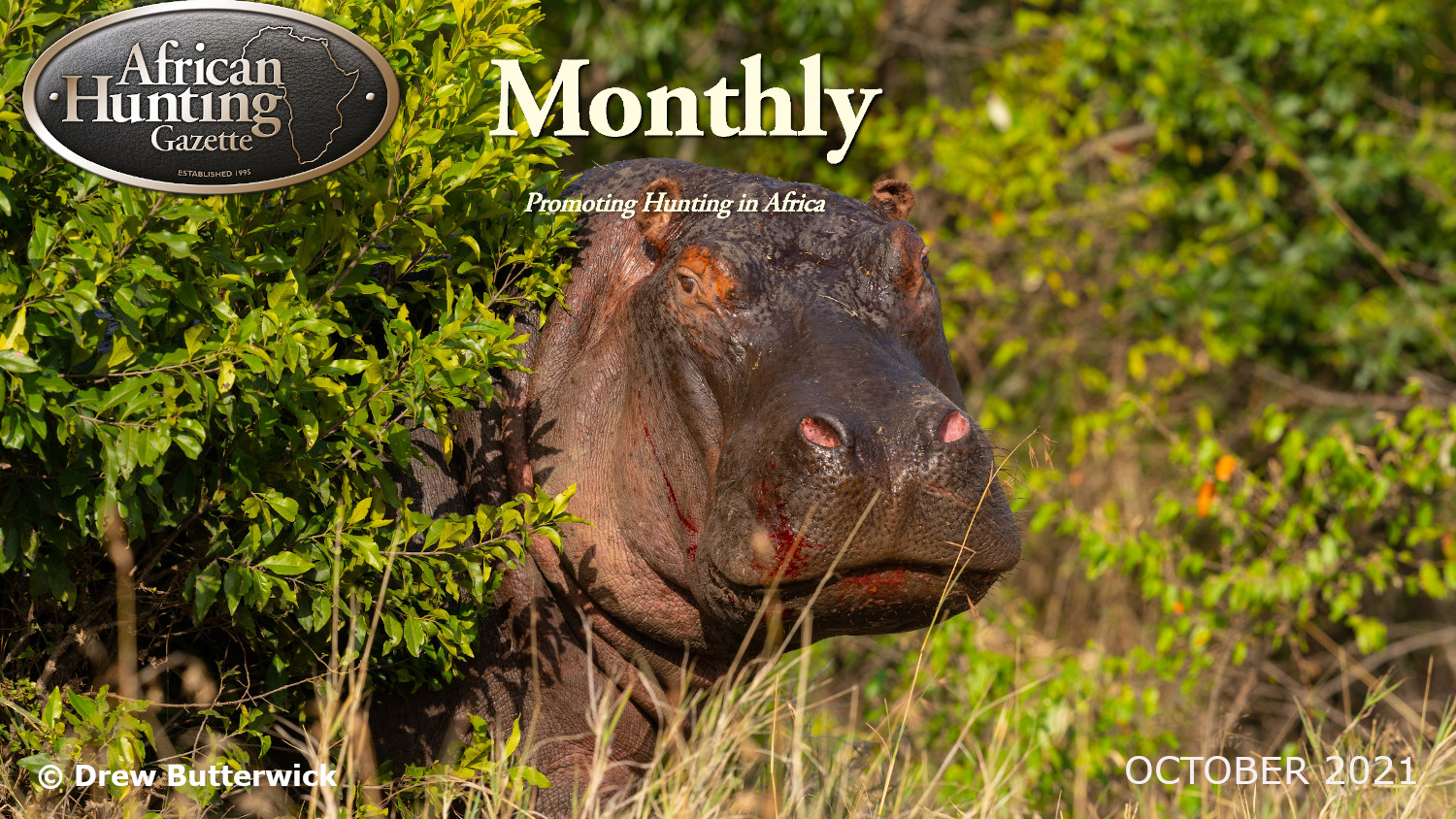 October newsletter