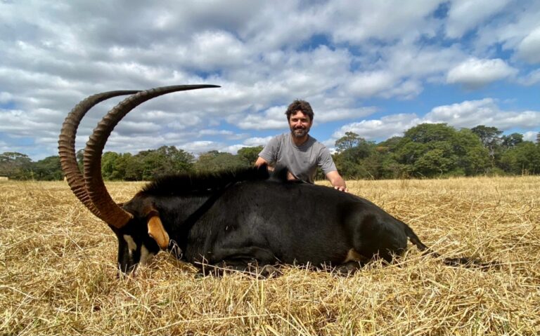 00a39537 2505 4513 9c8b b759963f518c 768x479