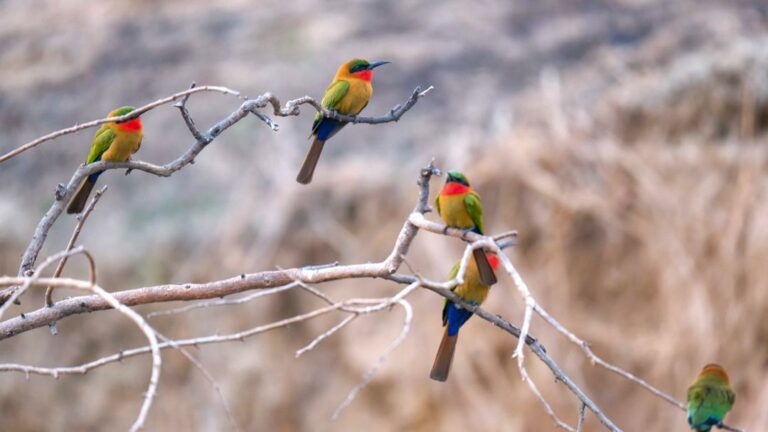 063d7df5 6aed 4820 8186 5bd6fbbe632b 768x432