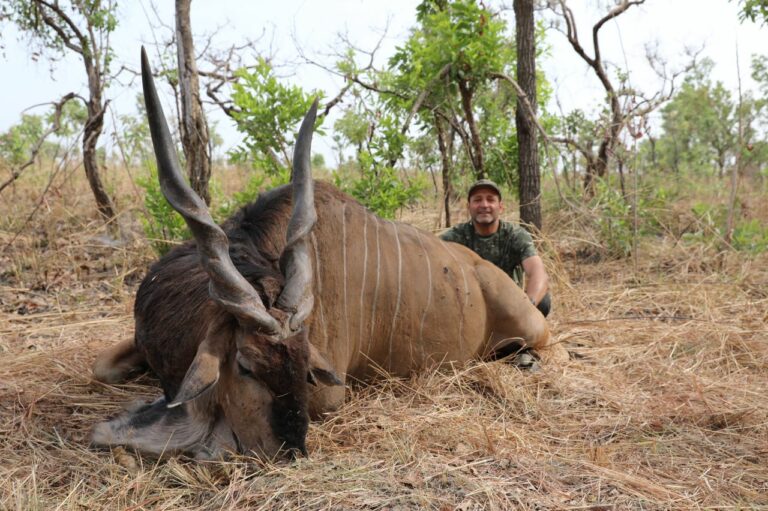 0f3bfac6 4817 4a08 bb63 2cd455554a3f 768x511