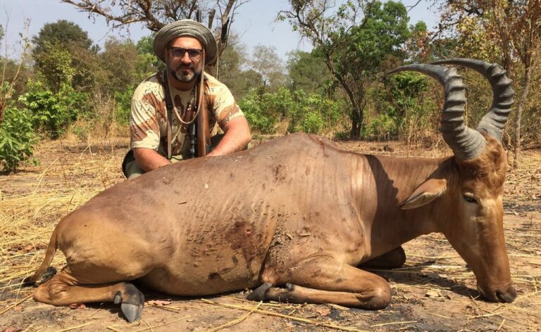 1067212e 6240 4eac 8ee5 94233907ecbb 768x472