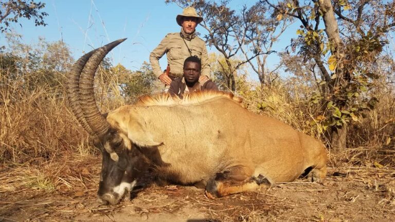 18f551b0 692b 456e ba57 afcbd693df09 768x432