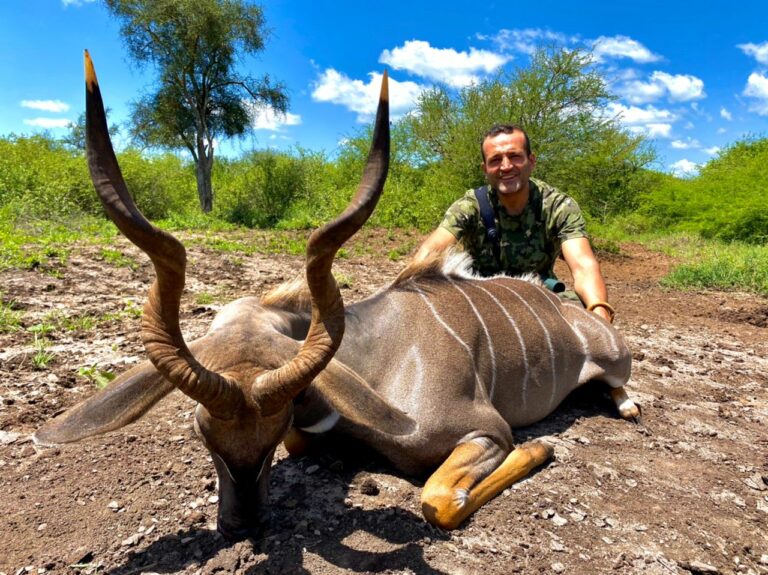 2bd41015 1e0c 42f9 8f8d 1f76c72f268f 768x575