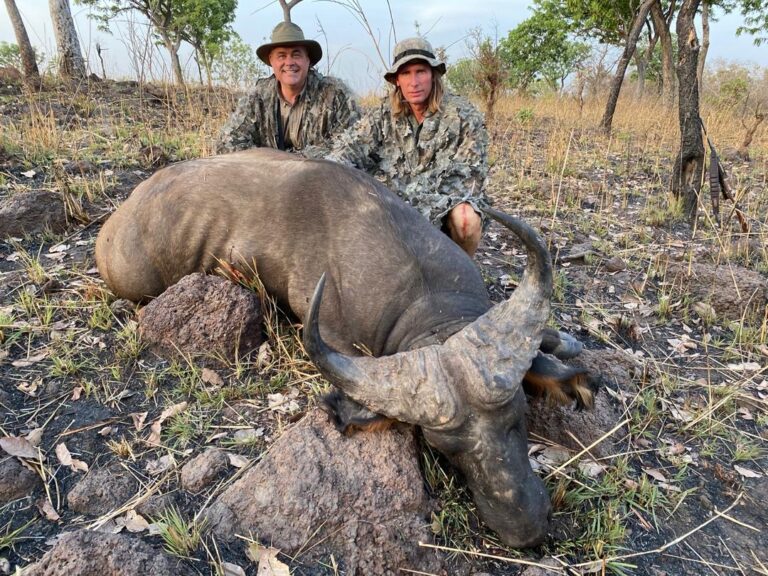 2d3883cc 974c 43f3 87e9 545a2b503e12 768x576