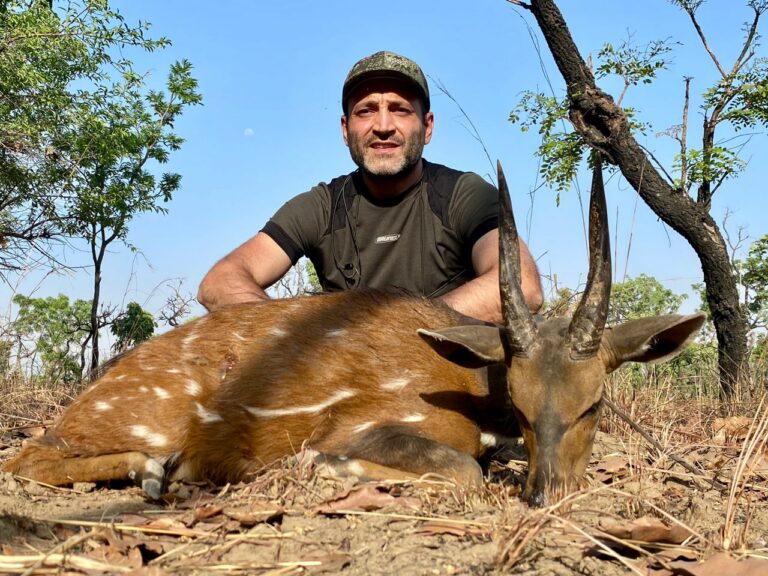 388117f1 de0b 4262 b21f 77f4ccbe2a1a 768x576