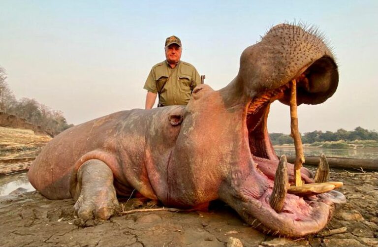 4188127b 4ac4 4093 b819 1115406f719d 768x502