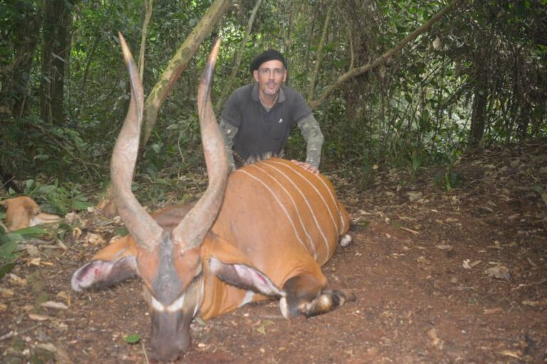 43cdd98b de27 40e8 a91a c053e8fd1910 768x511