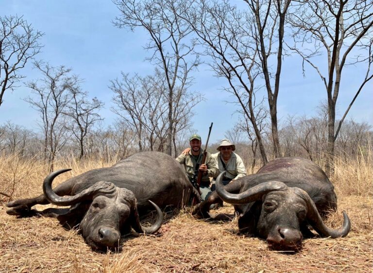 46076fc4 846d 4cb6 b63a 3d48f6d35f3d 768x562