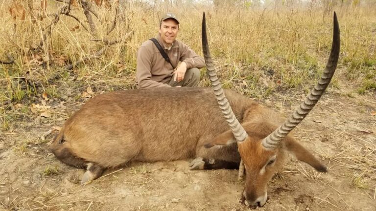 58bca36b 40c9 41ba a3e2 3f163770b82c 768x432