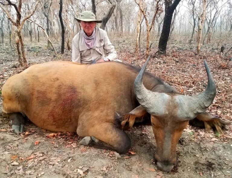 6090552f f3a3 47ad 8e3e 515781c56aa1 768x591