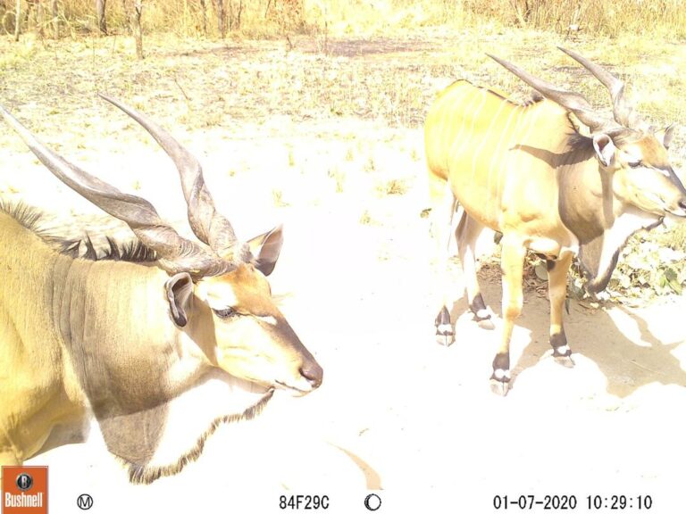 635e1d99 f8f2 4e32 b7c5 ad26eed4a2fa 768x576