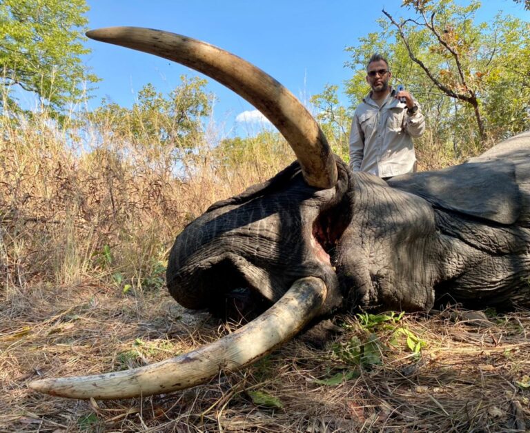 993dc23b c030 4071 b545 26e578b1b40c 768x628