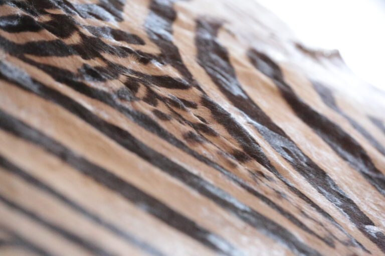 Animal ProductsNBP 7300Used 768x512