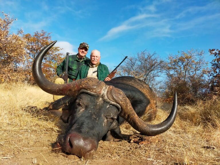 Bawcom Buffalo 768x576