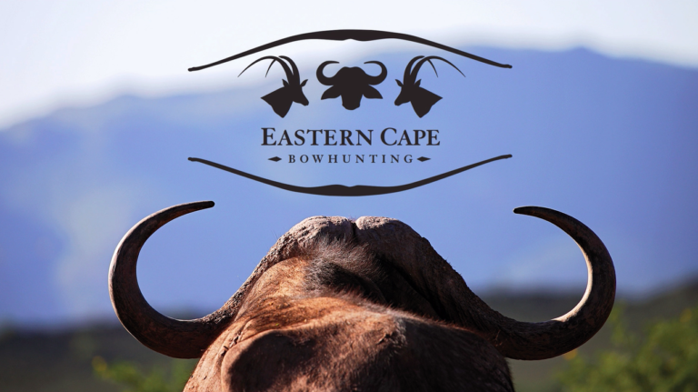 Buffalo Head Logo 768x431