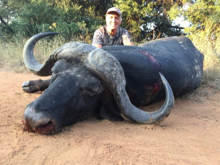 Buffel 768x576