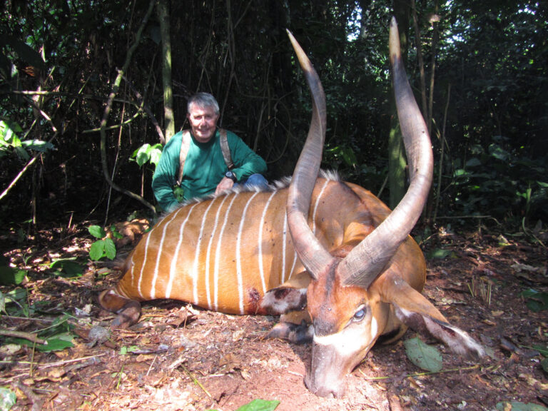 Cover Page copy 768x576