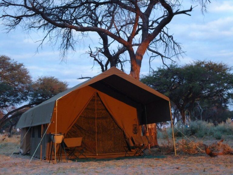 DSC08241 copy 768x576