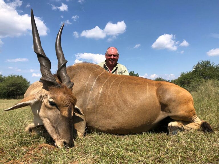 Eland 768x576